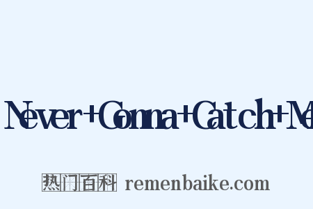 Never+Gonna+Catch+Me是什么意思的图片
